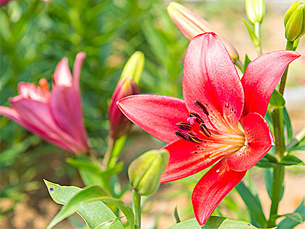 MK体育官网产品展示一