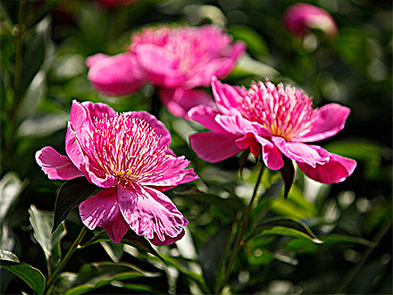 MK体育官网产品展示三