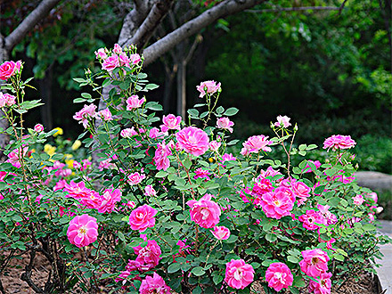 MK体育官网产品展示五