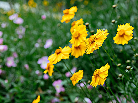 MK体育官网客户案例三