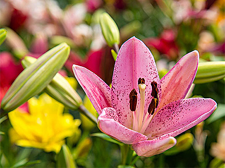 MK体育官网产品展示二