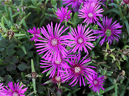 MK体育官网产品展示六